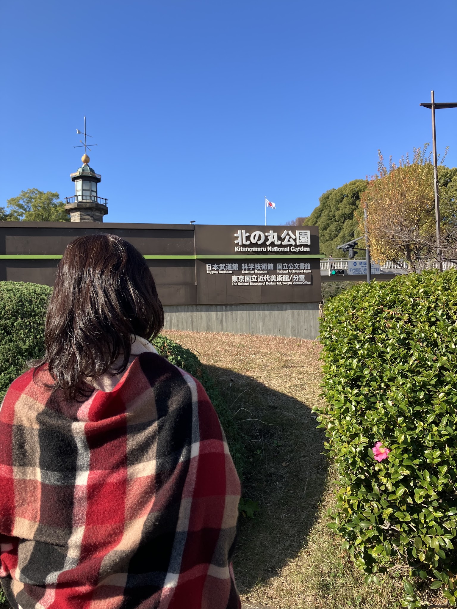 H.S. 講師